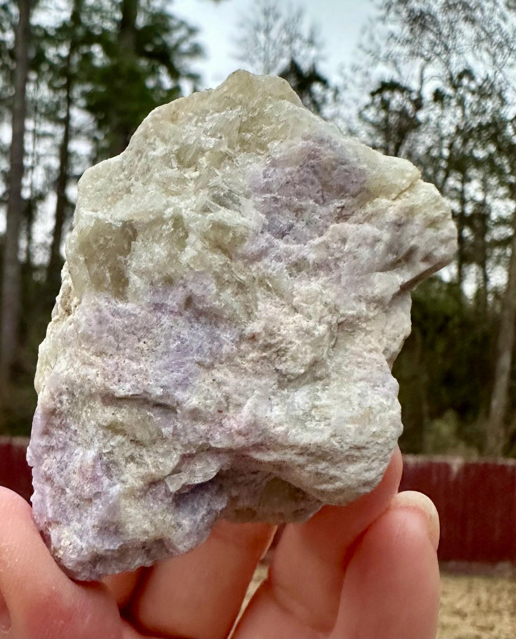 114 grams Rare Combo Winchite in Hackmanite Matrix from Afghanistan