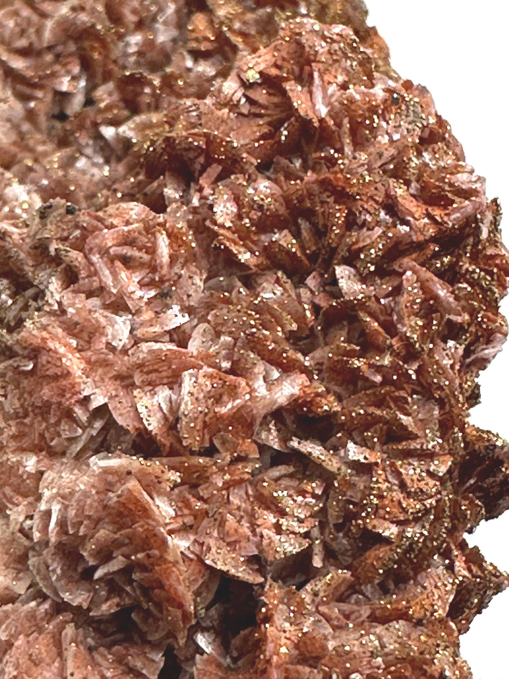 154 Grams One-of-a-Kind Bronze Barite with Pyrite Cubes, Petal-Like Crystal Formation from Morocco  Collector must Have