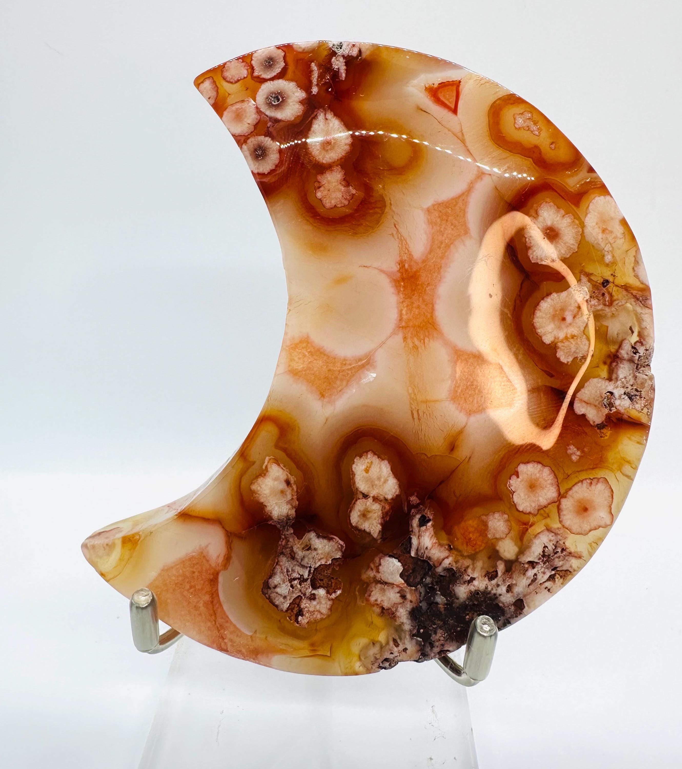 222 Grams Carnelian & Flower Agate Crescent Moon From Madagascar
