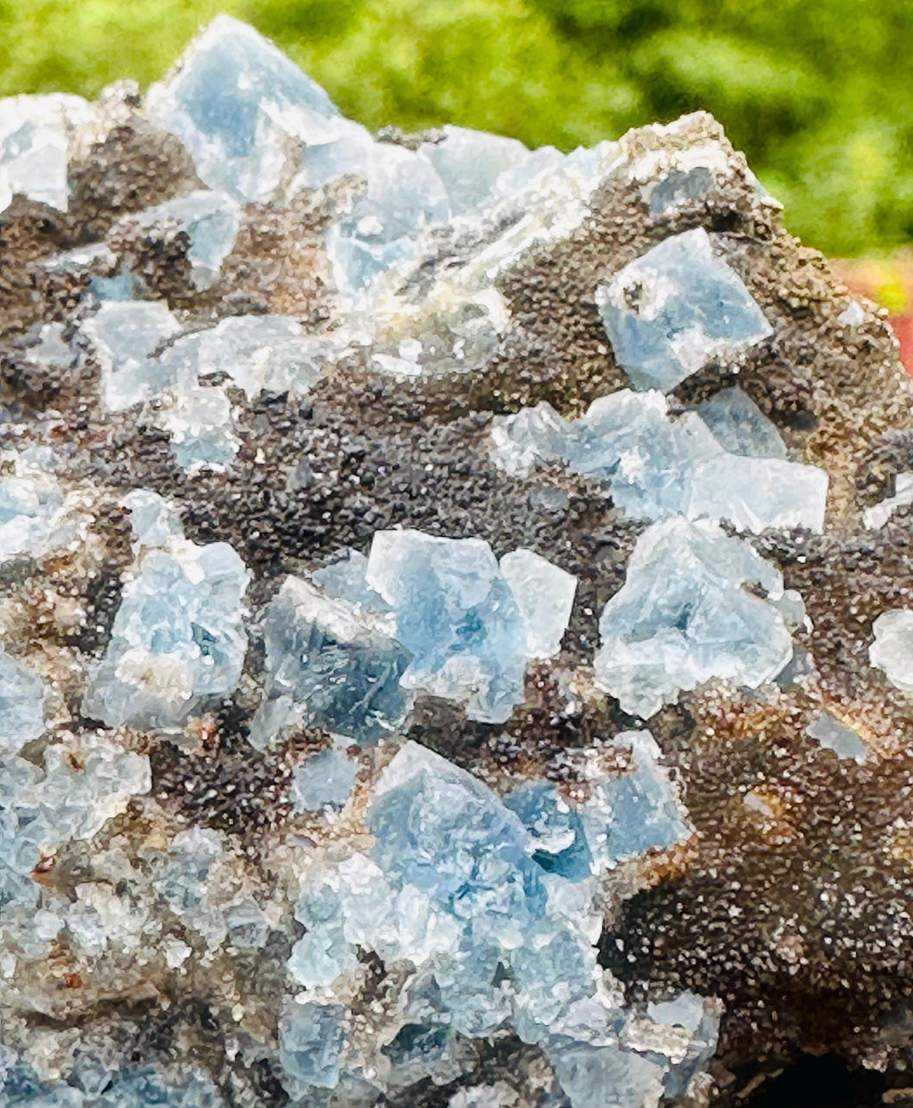 144 Grams Uncommon Self Standing Blue cubic Fluorite formed on a bed of Smokey Druzy Quartz