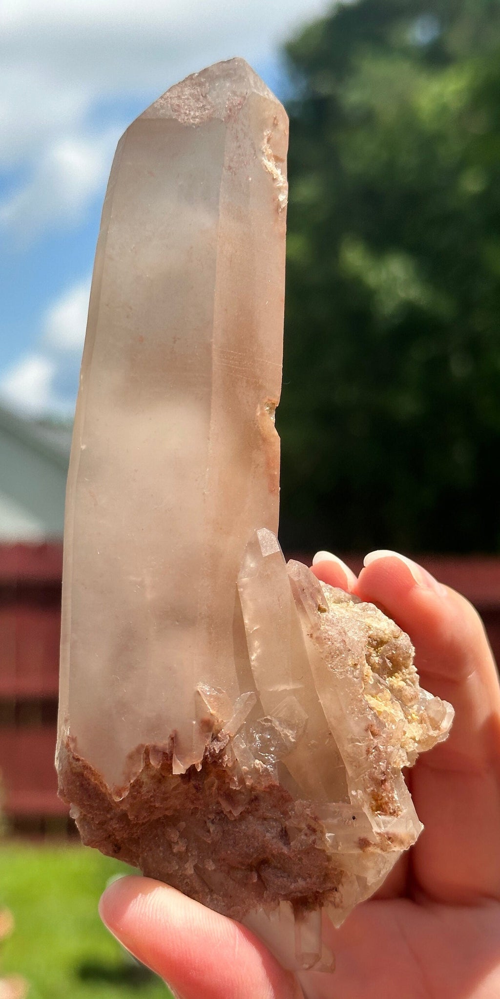 227 Grams Stunning Rich Pink Color Lithium Quartz "nest" Cluster from Brazil