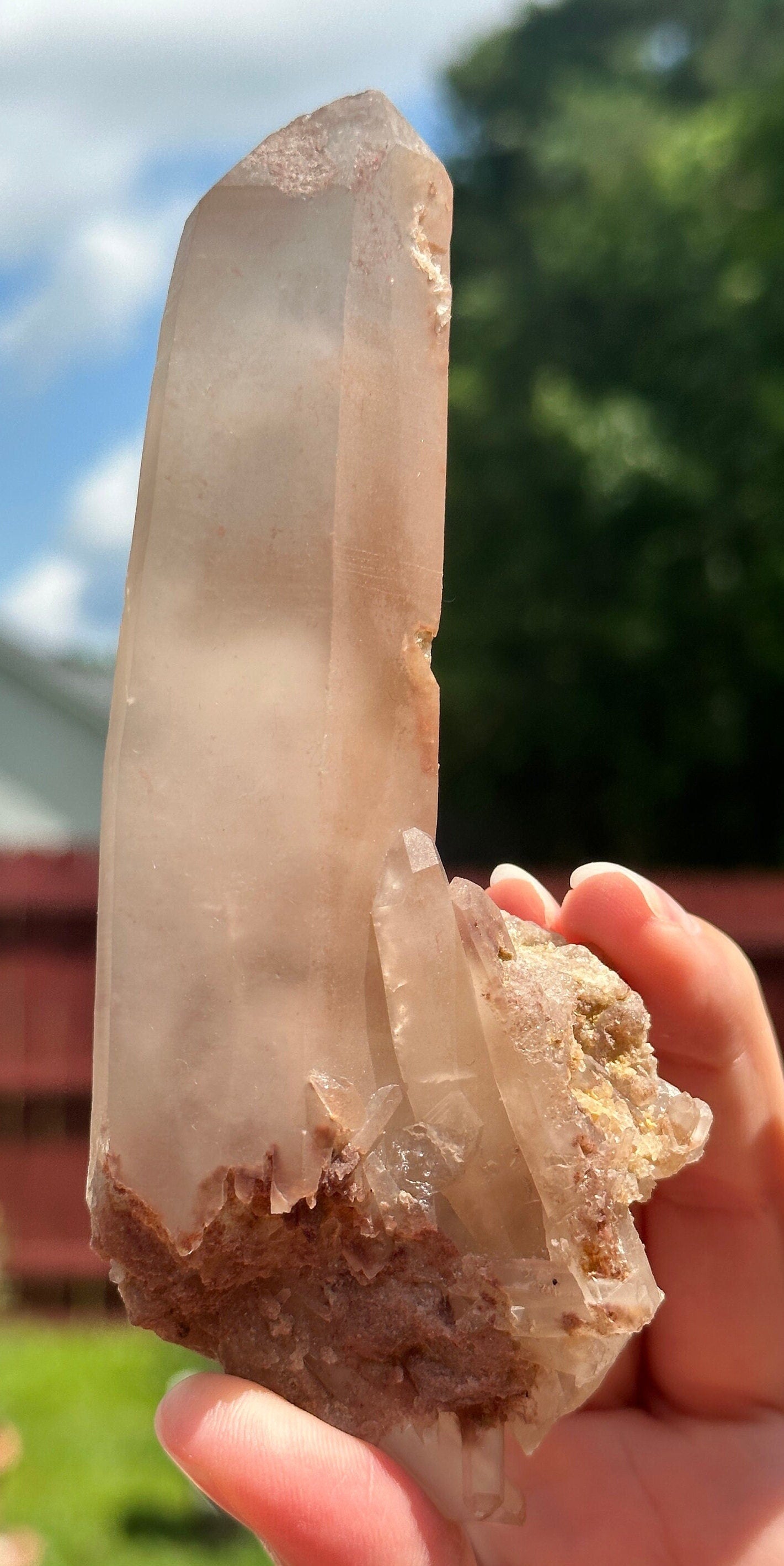 227 Grams Stunning Rich Pink Color Lithium Quartz "nest" Cluster from Brazil