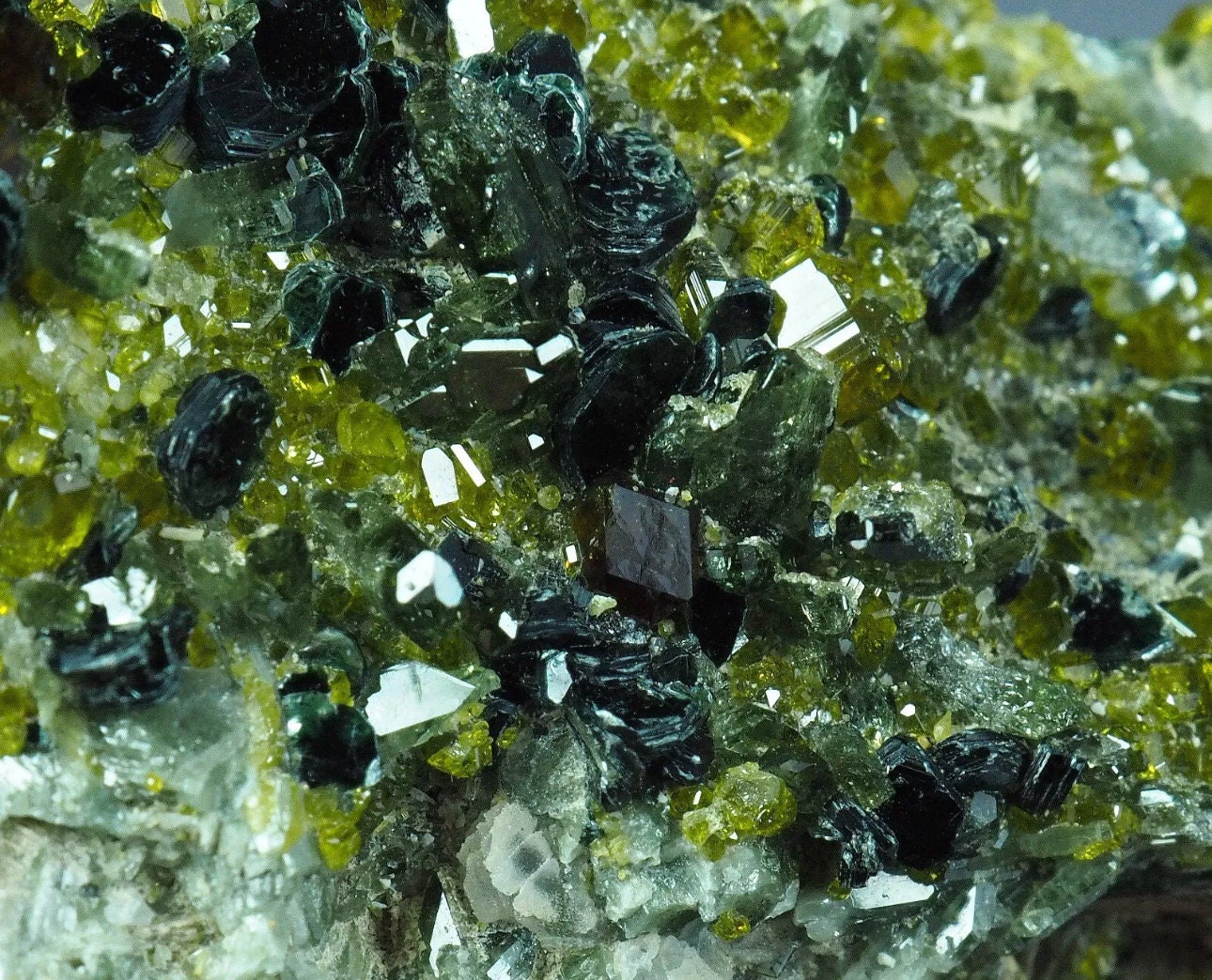 29 Grams of Vesuvianite/Idocrase and Diopside Cluster with black Muscovite