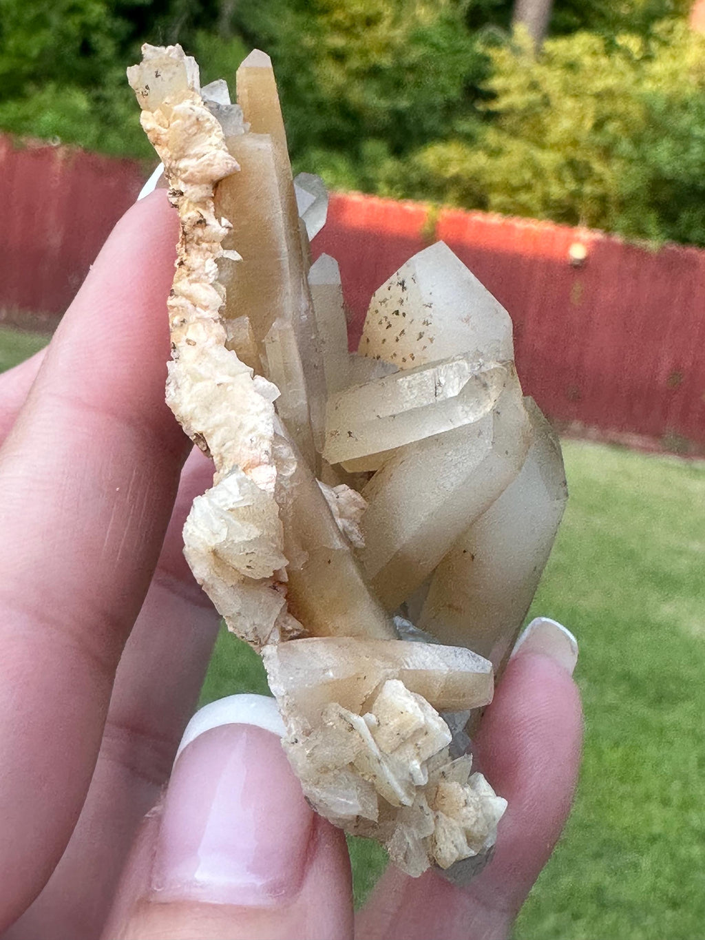73 Grams Amphibole AKA Bone Quartz Cluster from Baluchistan, Pakistan