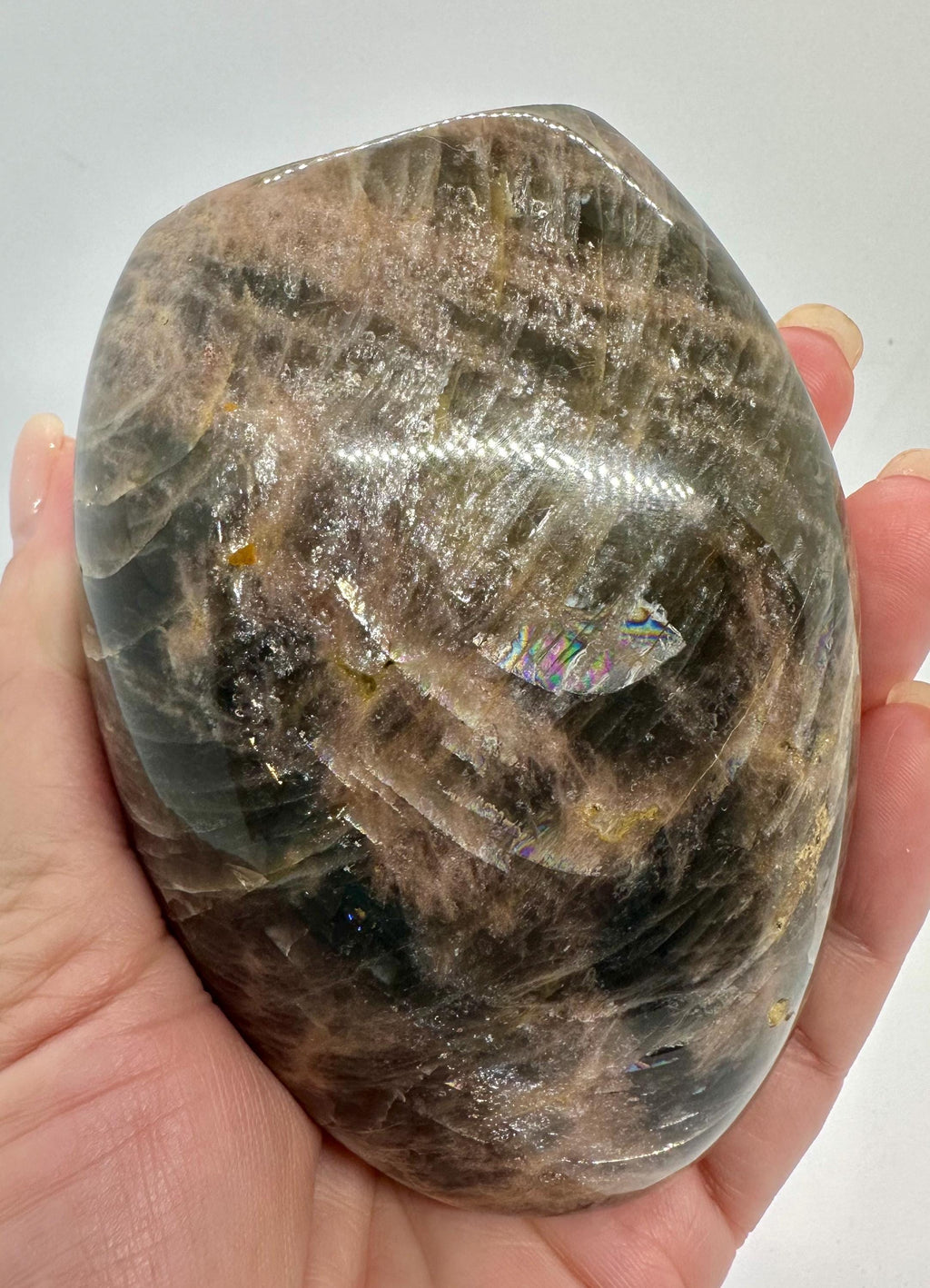 596 Grams Black Moonstone with Rainbows Free Form Madagascar