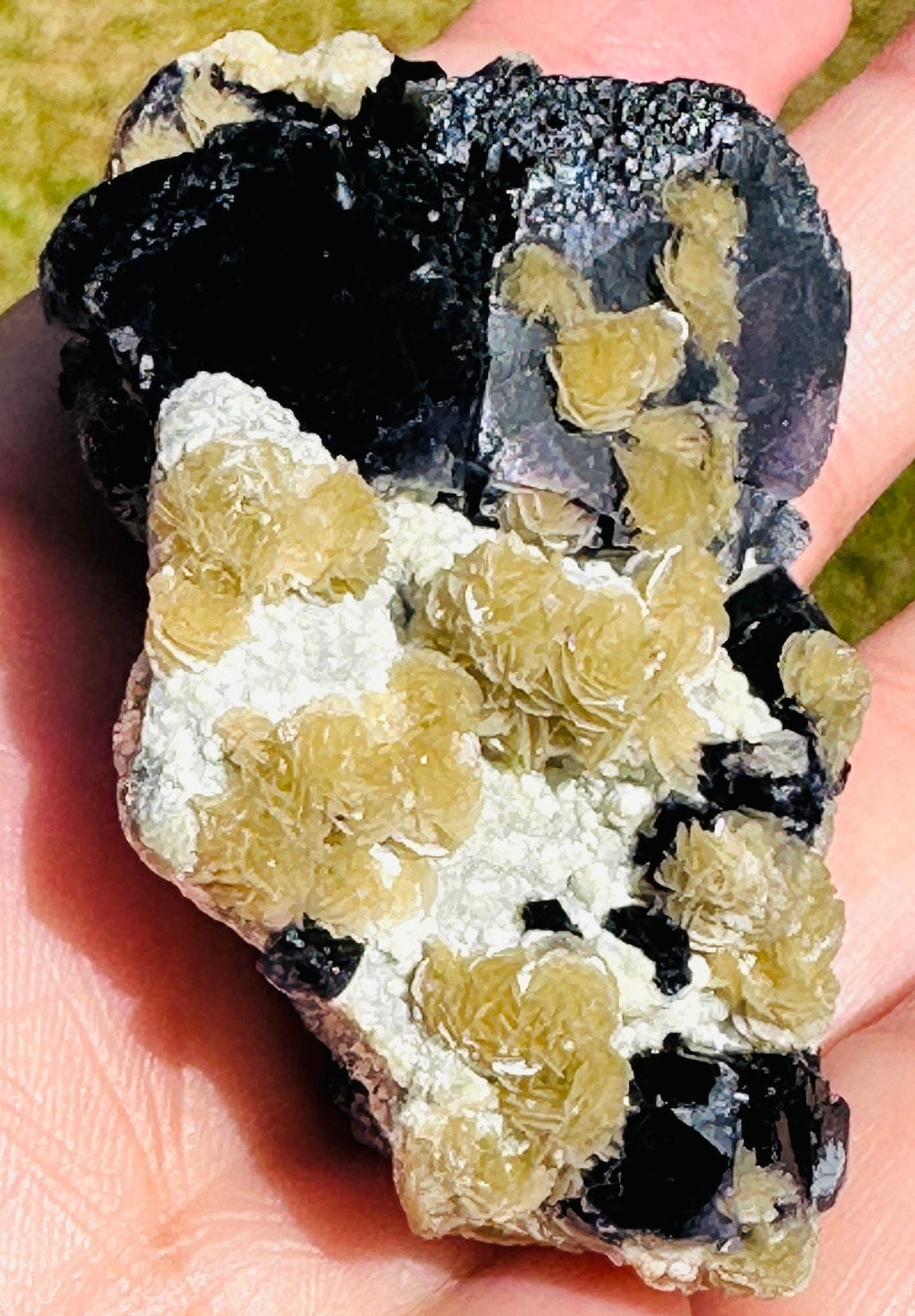 62 Grams Beautiful Unique Siderite Mini Roses in a Dark Purple Fluorite matrix from Inner Mongolia, China