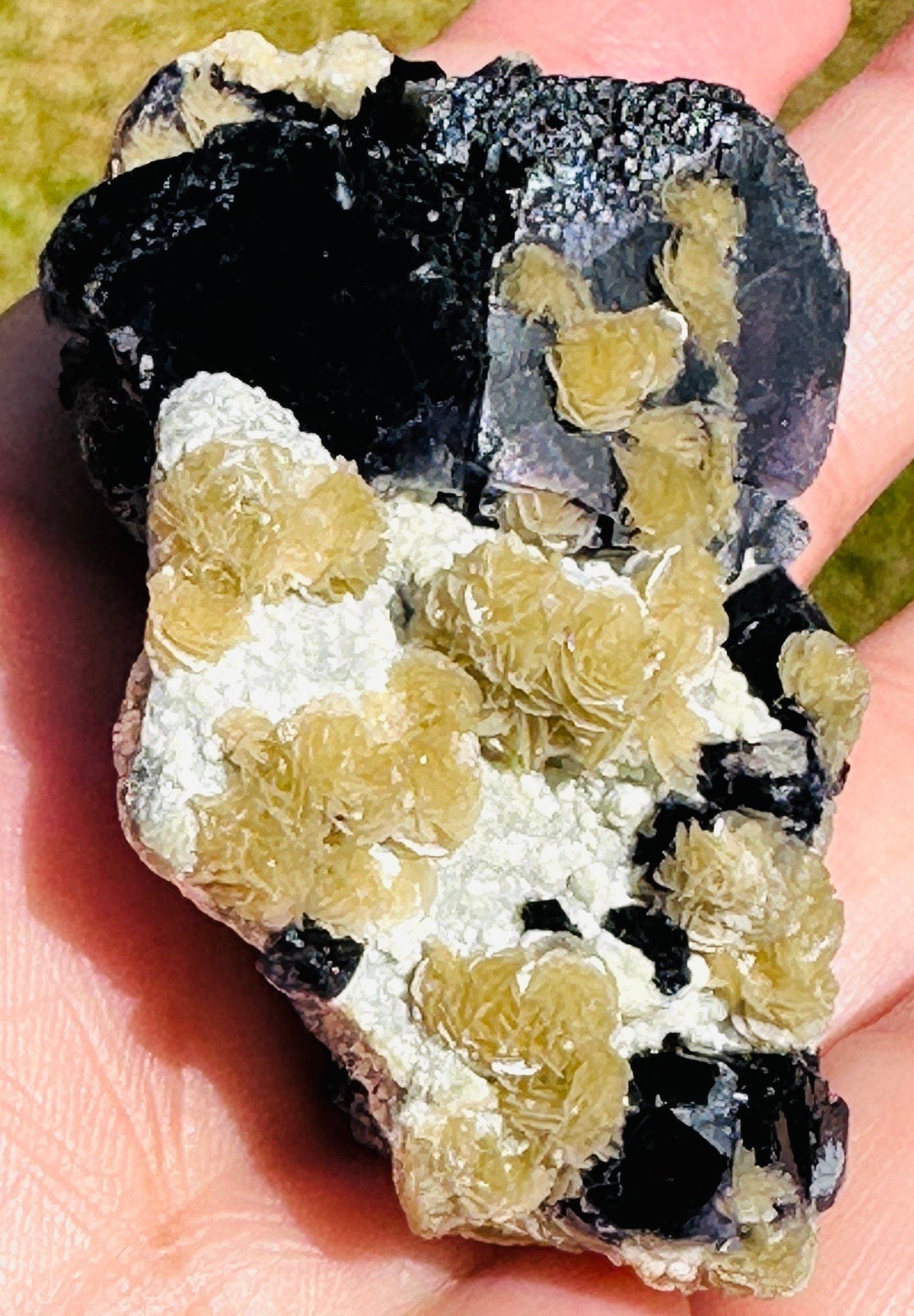 62 Grams Beautiful Unique Siderite Mini Roses in a Dark Purple Fluorite matrix from Inner Mongolia, China