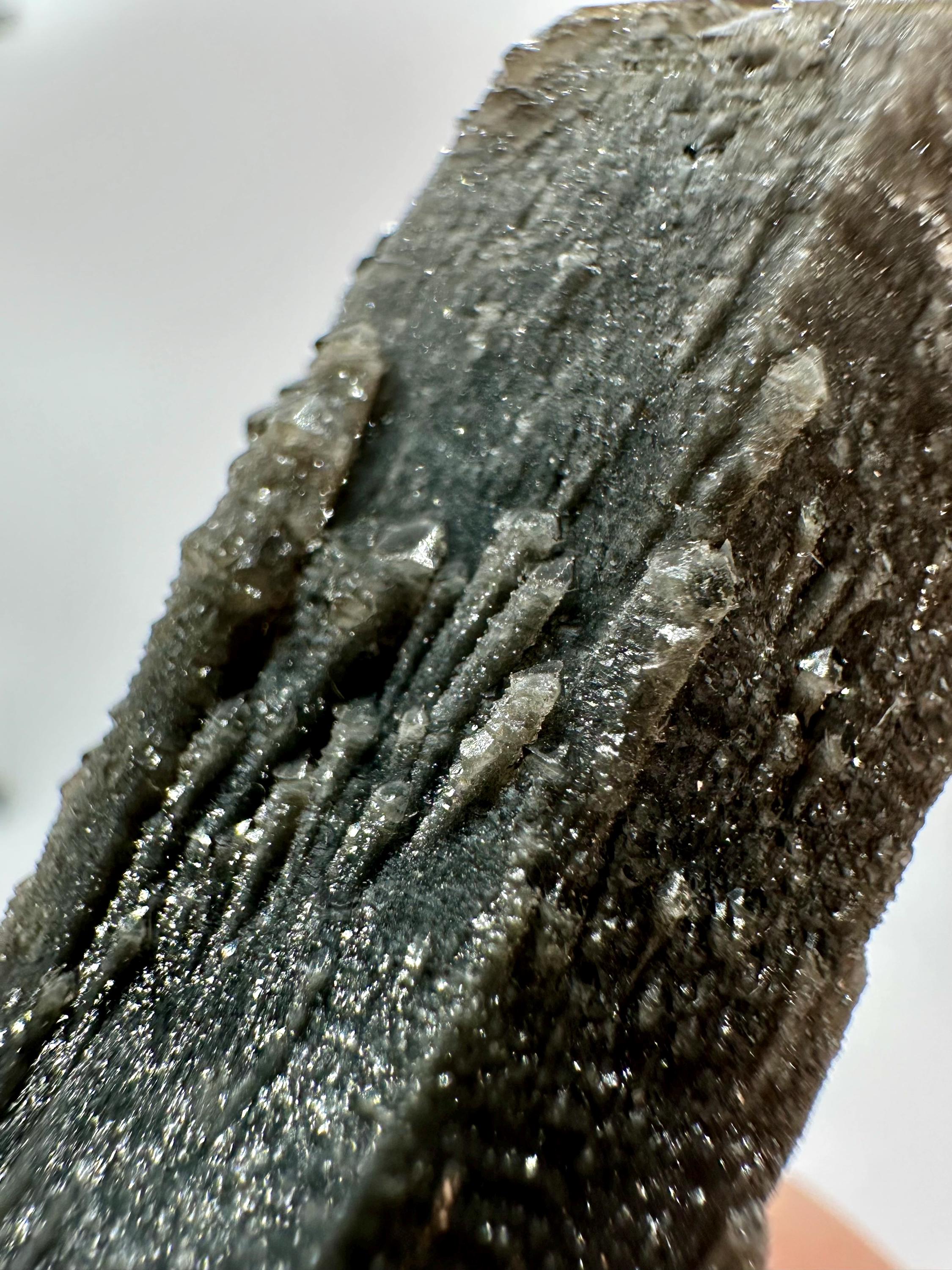 59 Grams One of a Kind Black Candle Quartz with Intergrowth and Microcrystal for the Discerning Collector From Madagascar