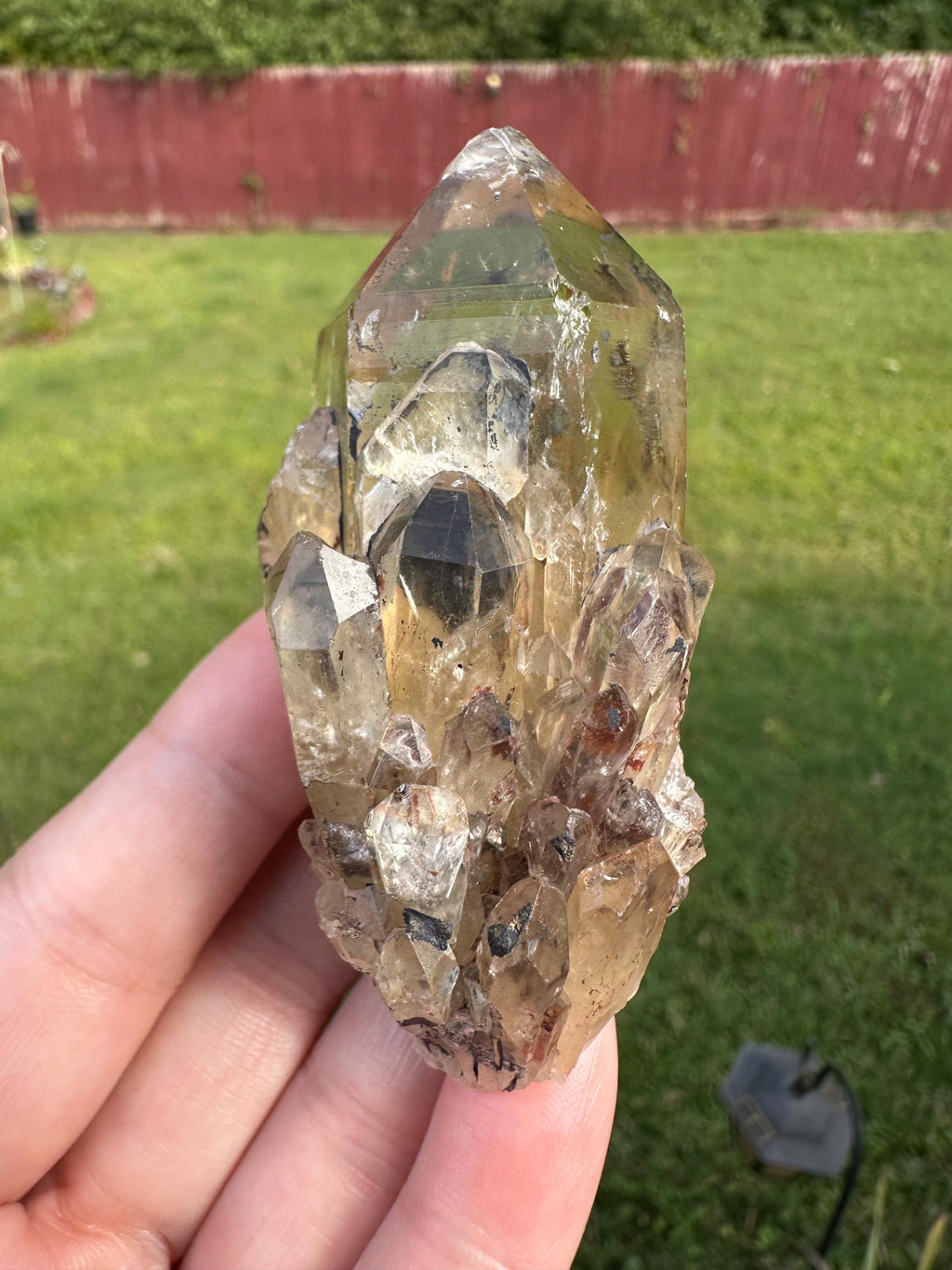 97 Grams Kundalini Citrine Cluster from RD Congo