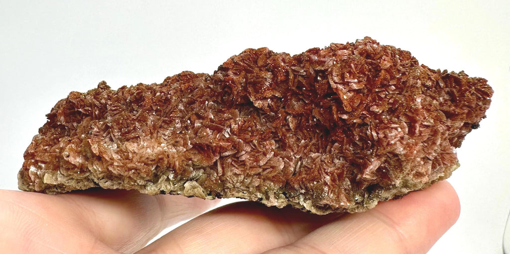 154 Grams One-of-a-Kind Bronze Barite with Pyrite Cubes, Petal-Like Crystal Formation from Morocco  Collector must Have