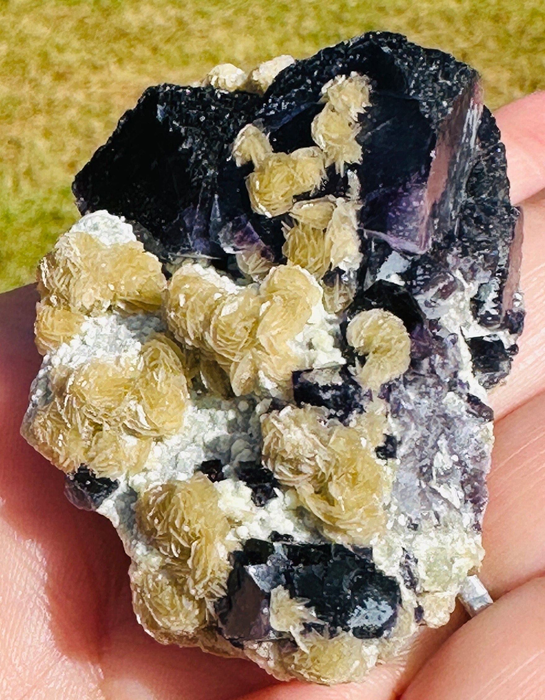 62 Grams Beautiful Unique Siderite Mini Roses in a Dark Purple Fluorite matrix from Inner Mongolia, China