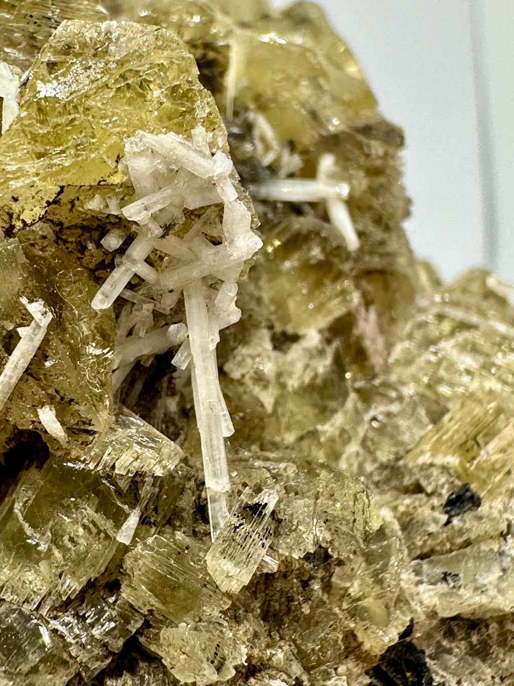 126 Grams Yellow Apatite in Matrix Specimen from Imilchil, Morocco