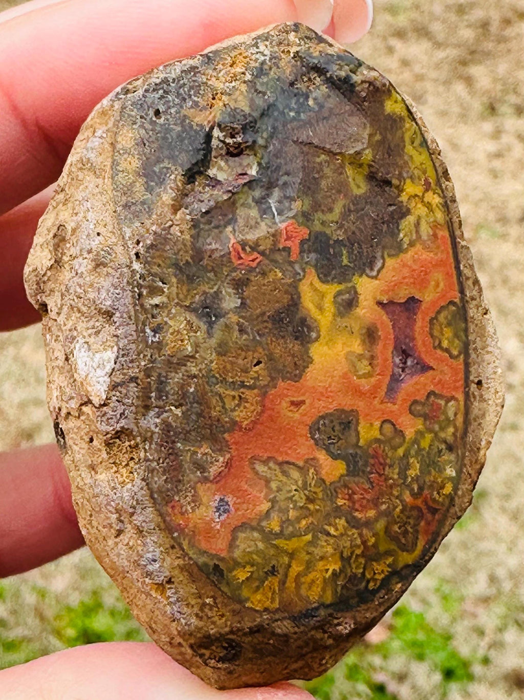 Your Choice Rare and Very Rich Color Swirls and Patterns  Surya semi polished Agate from India