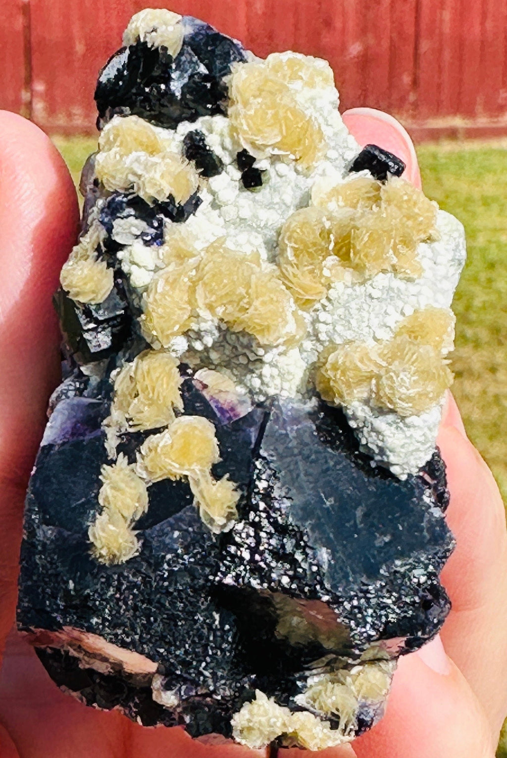 62 Grams Beautiful Unique Siderite Mini Roses in a Dark Purple Fluorite matrix from Inner Mongolia, China