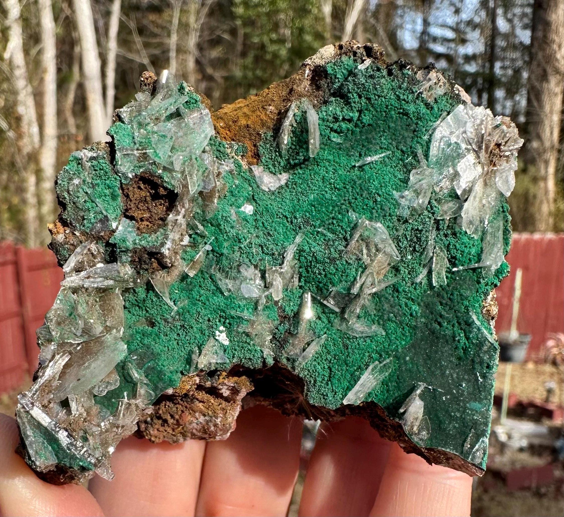 152 Grams Clear Barite blades in green "sandy granular like" Atacamite specimen from China