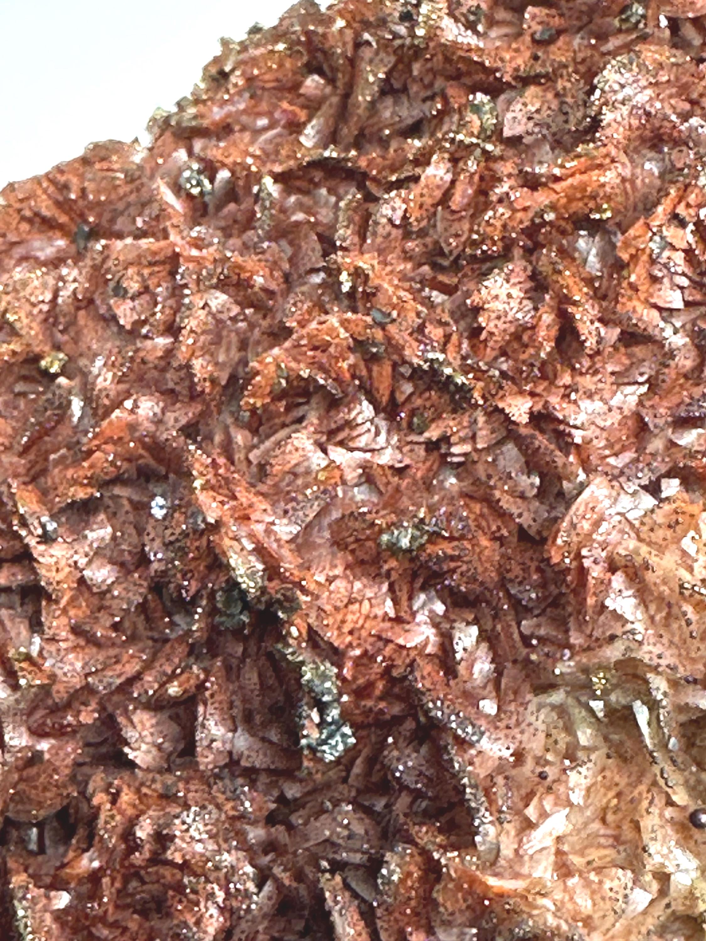 154 Grams One-of-a-Kind Bronze Barite with Pyrite Cubes, Petal-Like Crystal Formation from Morocco  Collector must Have