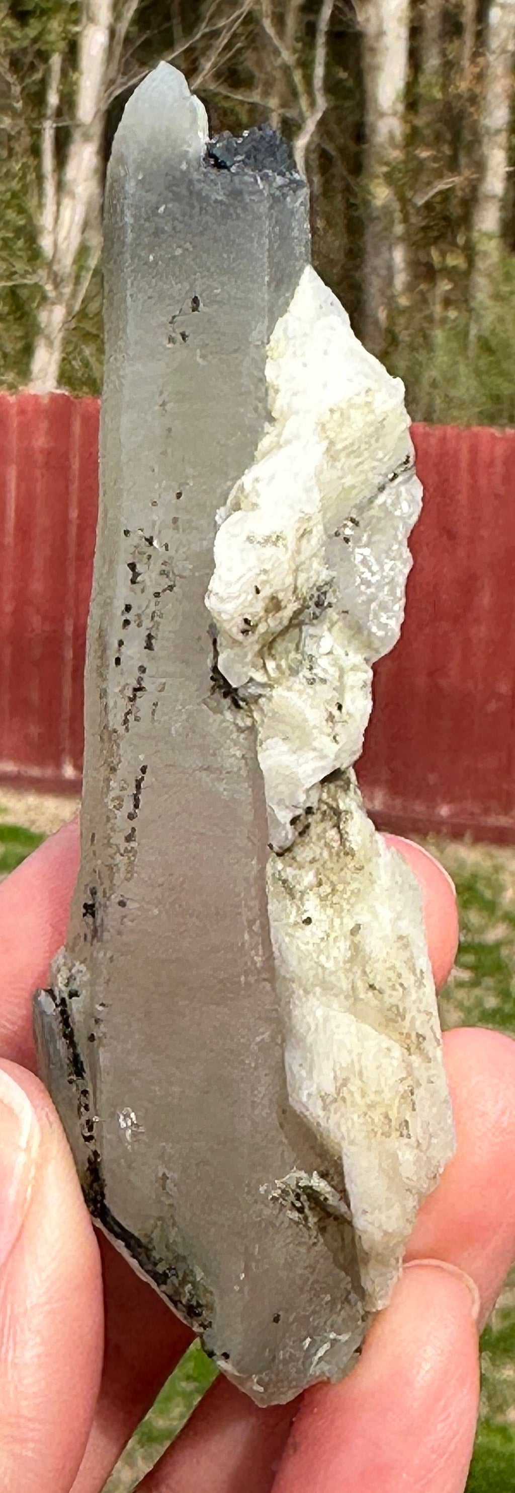 70 Grams Beautiful ET Self-healed Prase Quartz w Black Tourmaline included and Feldspar From Inner Mongolia