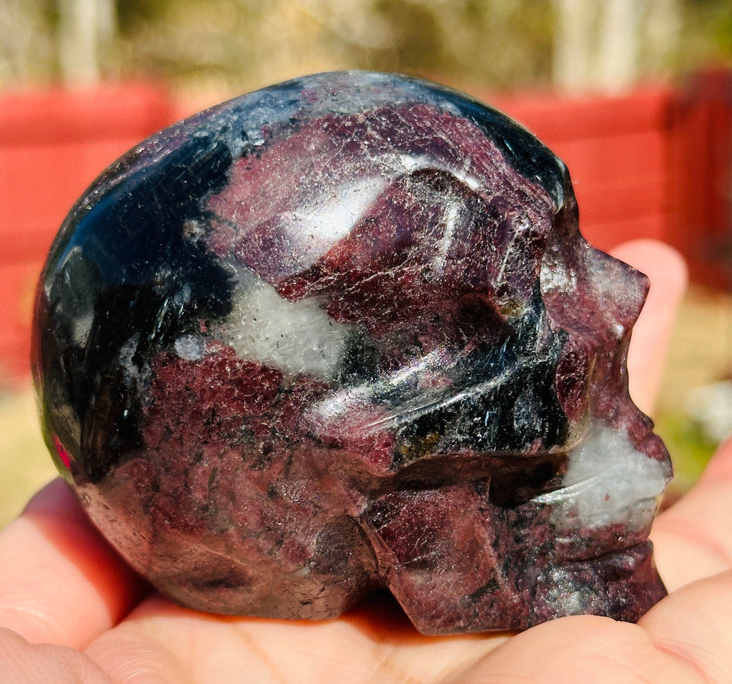 450 Grams Power House of Garnet in Arfvedsonite Skull Carving