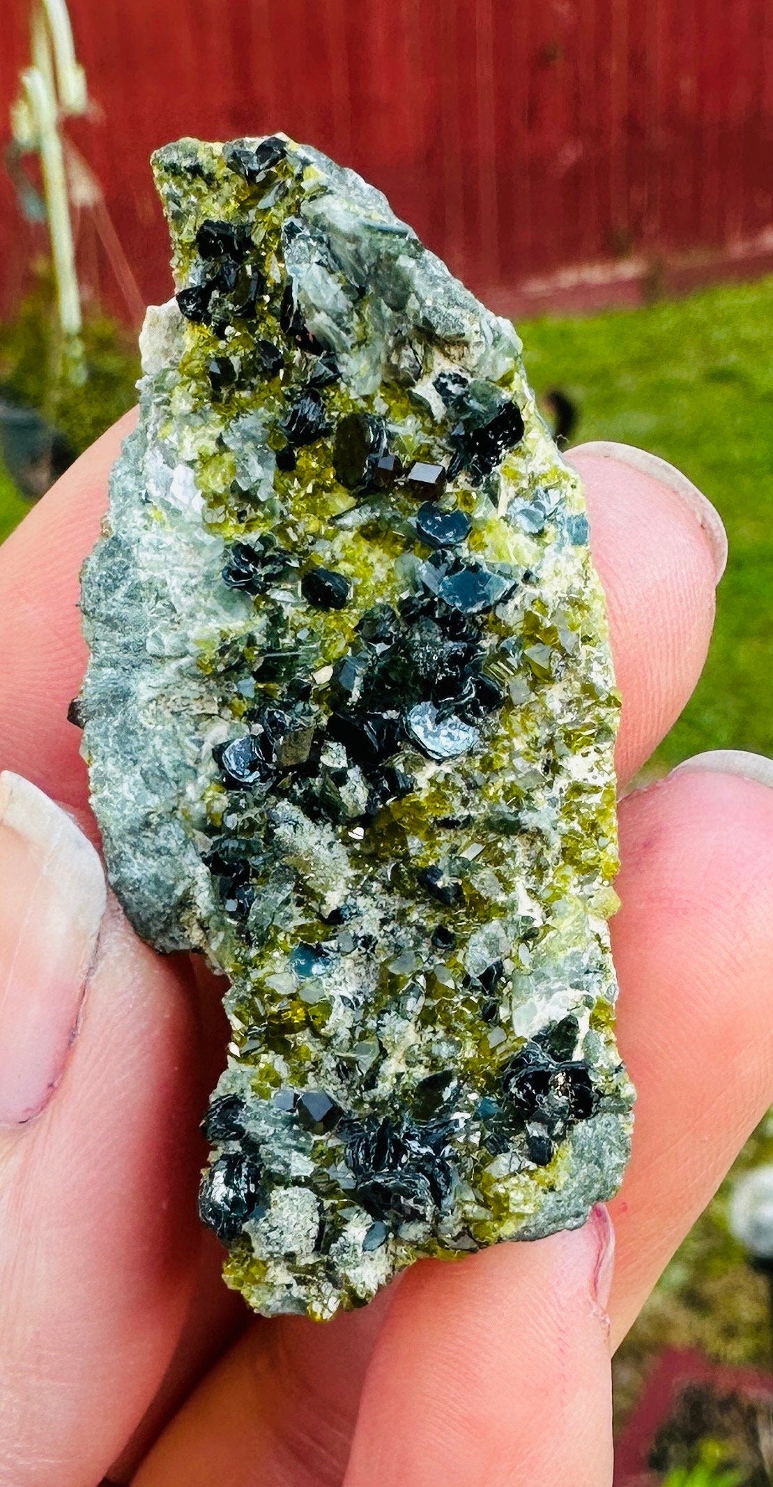29 Grams of Vesuvianite/Idocrase and Diopside Cluster with black Muscovite