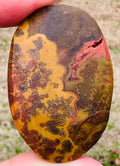 Your Choice Rare and Very Rich Color Swirls and Patterns  Surya semi polished Agate from India