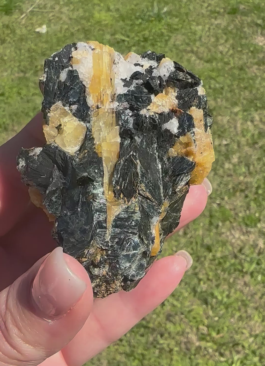 Brazilian Yellow Tourmaline in Biotite